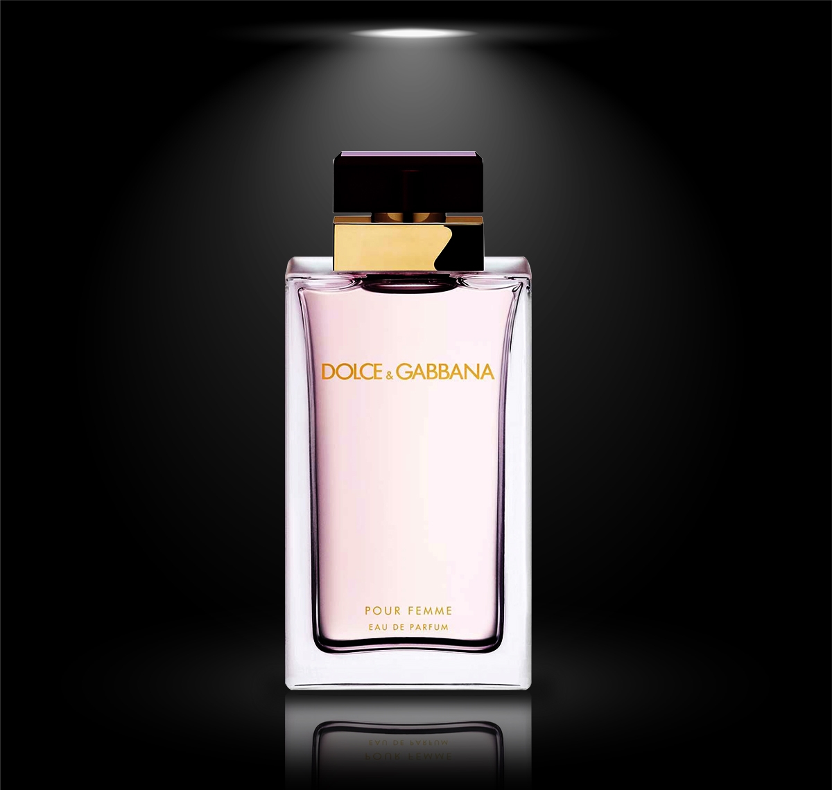 Dolce & Gabbana Pour Femme Eau de Parfum | Thiên Khang Perfume