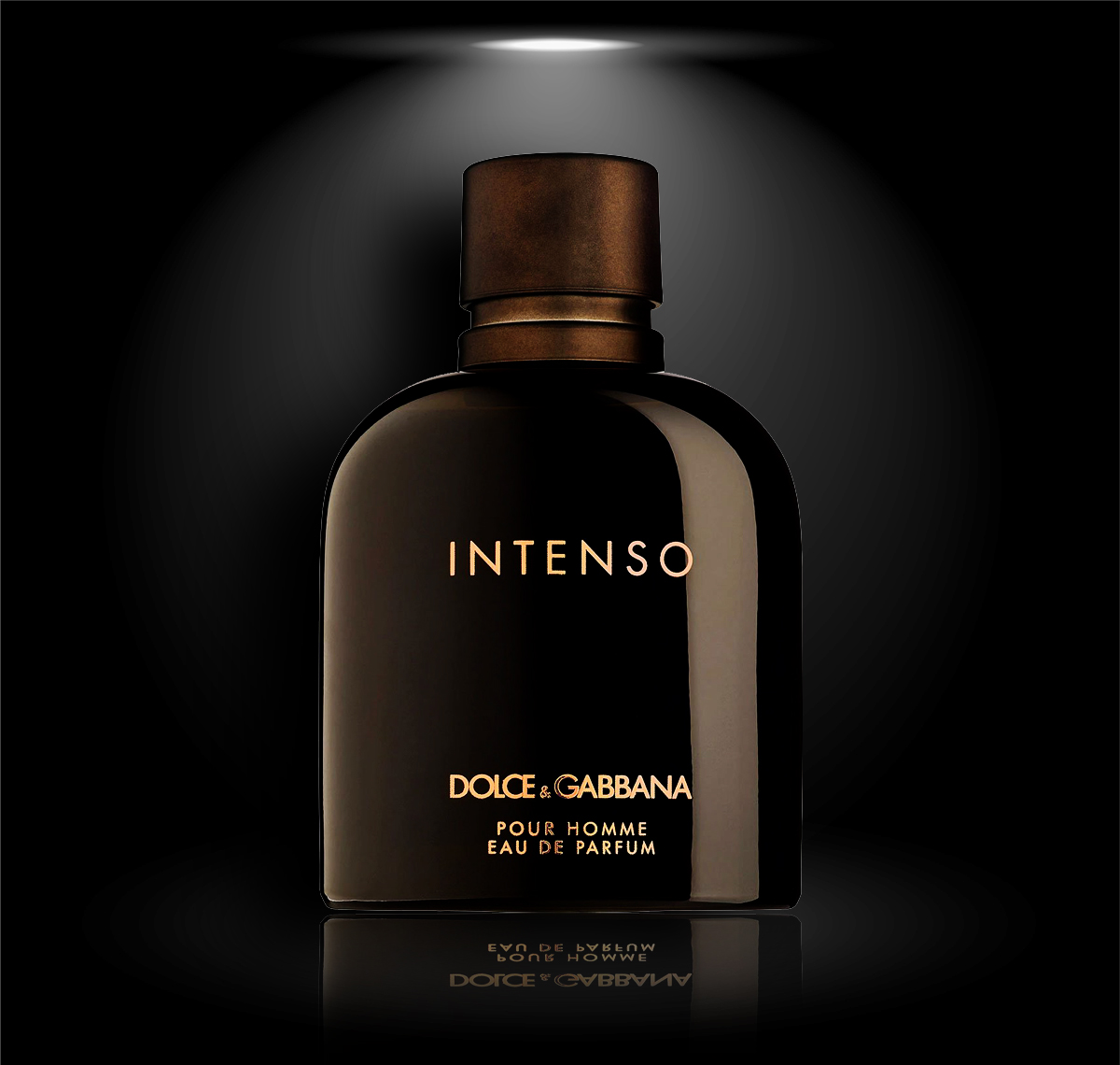 Dolce & Gabbana Pour Homme Intenso | Thiên Khang Perfume